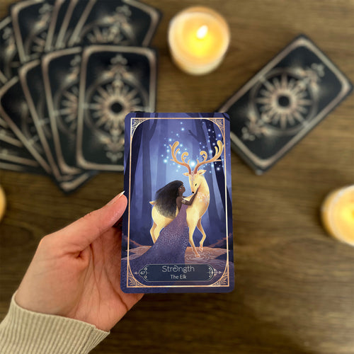 Voice of the Wild - 52 Animal Oracle Cards with Guidebook